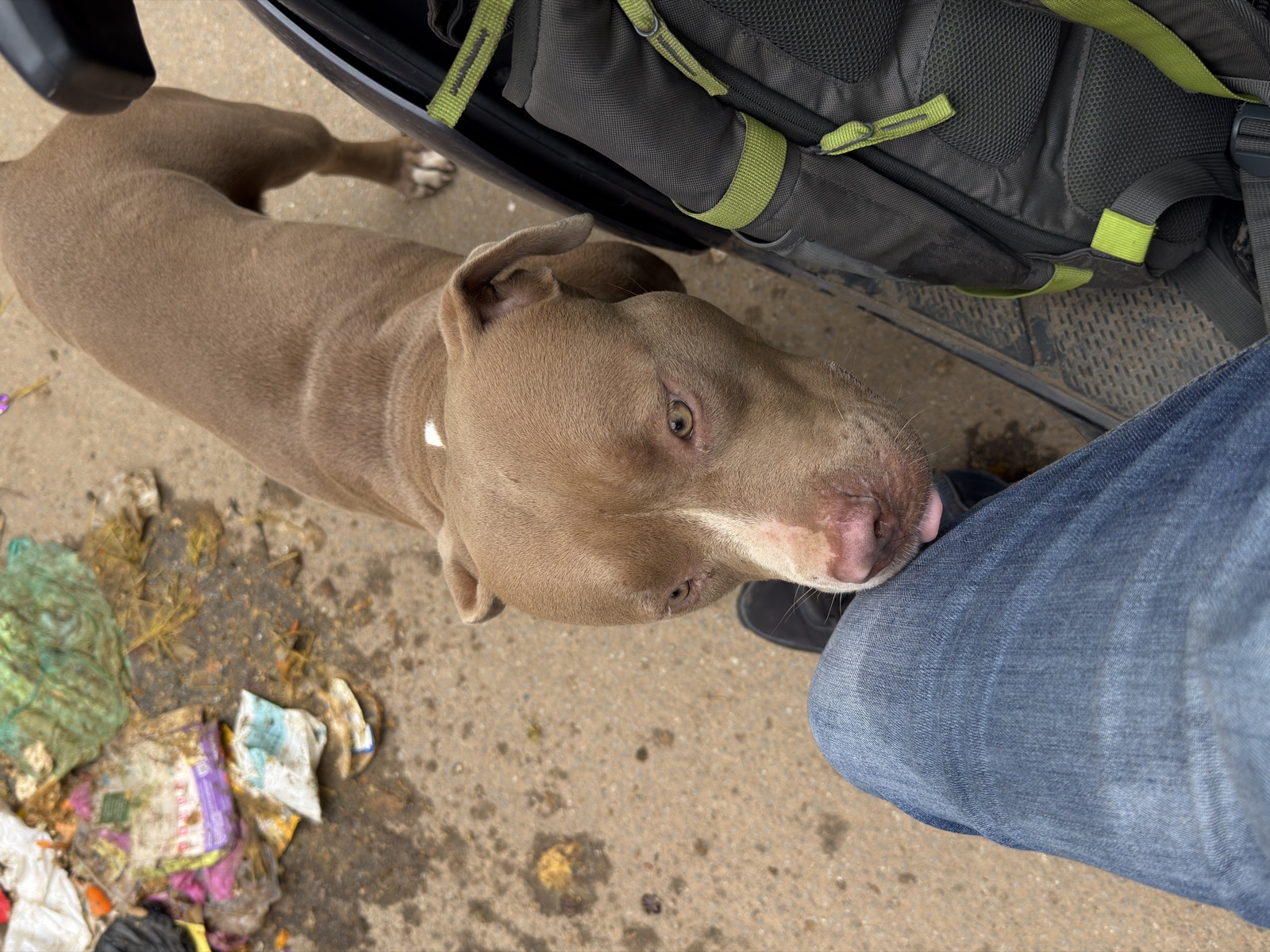 Bruno reunited