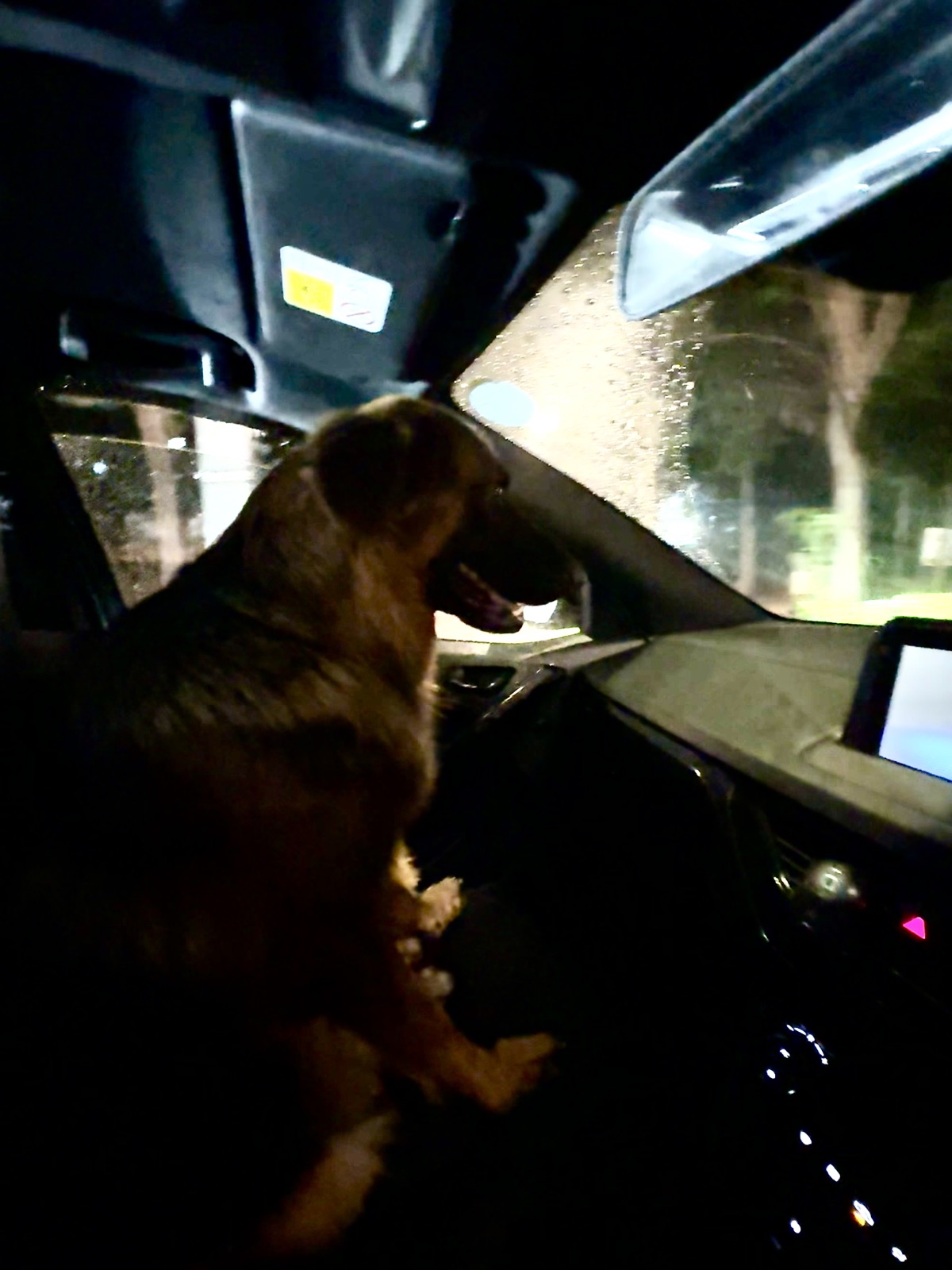 Rocky car ride