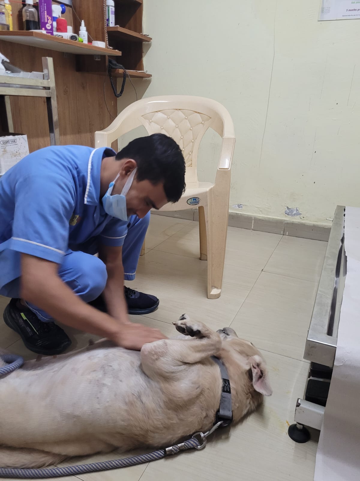 Sukhi at vet